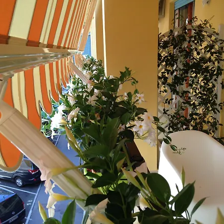 住宿加早餐酒店 阿尔帕尔科维尔德住宿加早餐旅馆